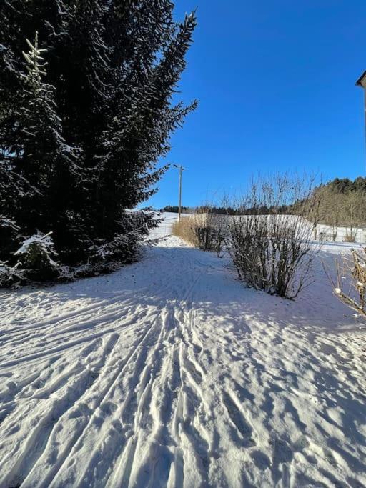 Appartamento Franzis Feriendomizil Im Herzgebirge Am Skihang Auerbach  Esterno foto