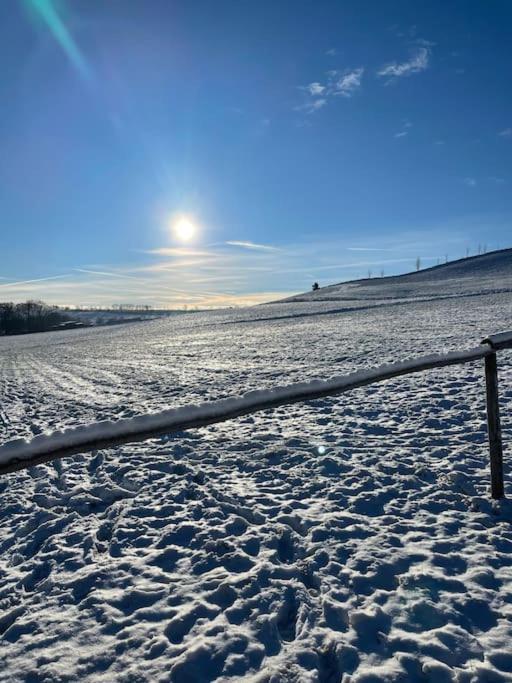 Appartamento Franzis Feriendomizil Im Herzgebirge Am Skihang Auerbach  Esterno foto