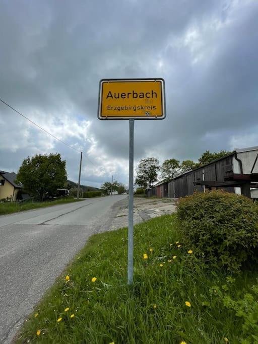 Appartamento Franzis Feriendomizil Im Herzgebirge Am Skihang Auerbach  Esterno foto