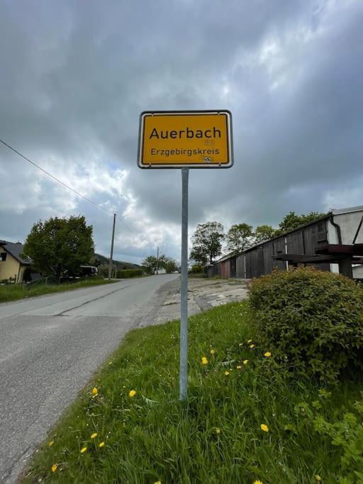 Franzis Feriendomizil Im Herzgebirge Am Skihang Auerbach  Esterno foto