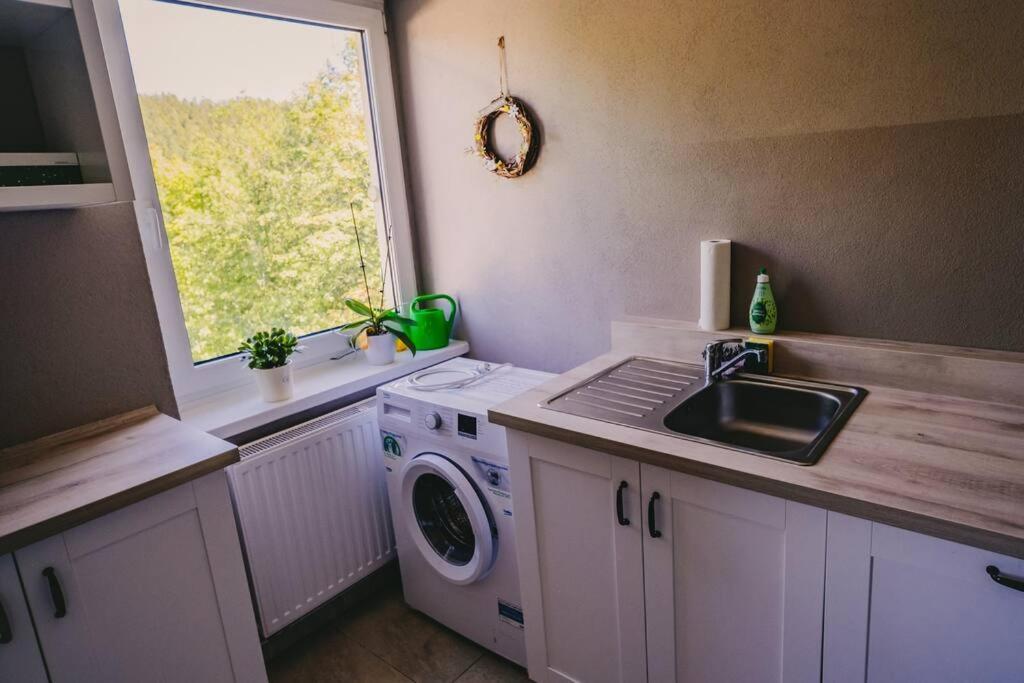Franzis Feriendomizil Im Herzgebirge Am Skihang Auerbach  Esterno foto