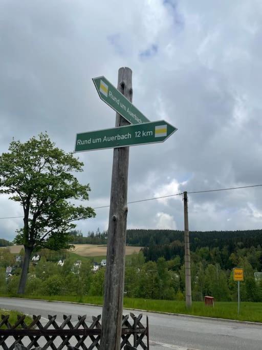 Appartamento Franzis Feriendomizil Im Herzgebirge Am Skihang Auerbach  Esterno foto