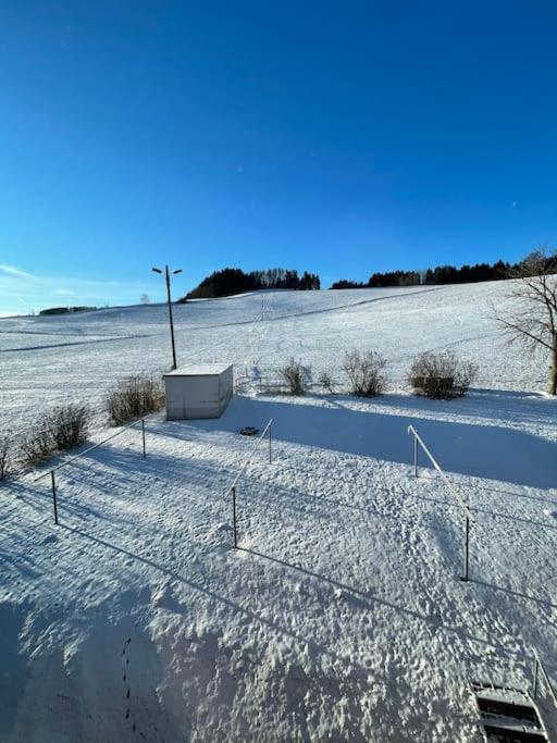 Appartamento Franzis Feriendomizil Im Herzgebirge Am Skihang Auerbach  Esterno foto